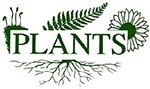 Официальный сайт ландшафтно-озеленительной компании PLANTS