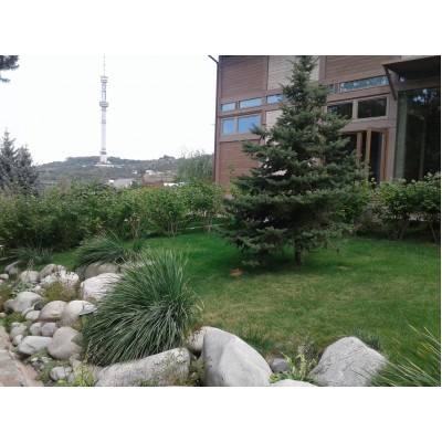 Озеленение в Алматы Ландшафтный дизайн Благоустройство территории в Казахстане