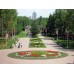 Озеленение в Алматы ландшафтный дизайн услуги благоустройство территории в Казахстане