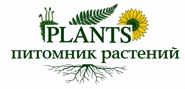 Озеленение в Алматы питомник растений PLANTS Озеленение в Алматы питомник растений PLANTS